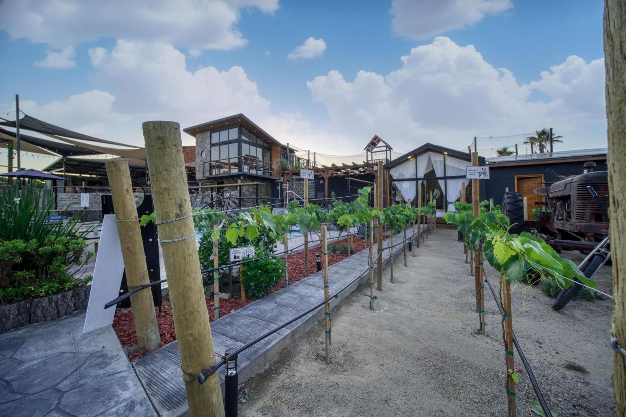 Sirius Valle Valle de Guadalupe Zewnętrze zdjęcie